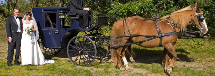 Bryllupsbillede med brudepar - På skovtur i hestevogn